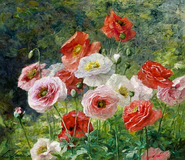 Cluster of Poppies von Louis Marie Lemaire