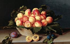 Basket of Apricots 1634