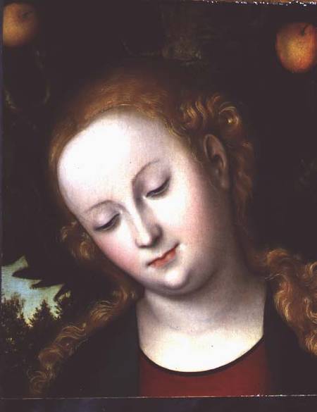 Head of the Virgin von Lucas Cranach d. Ä.
