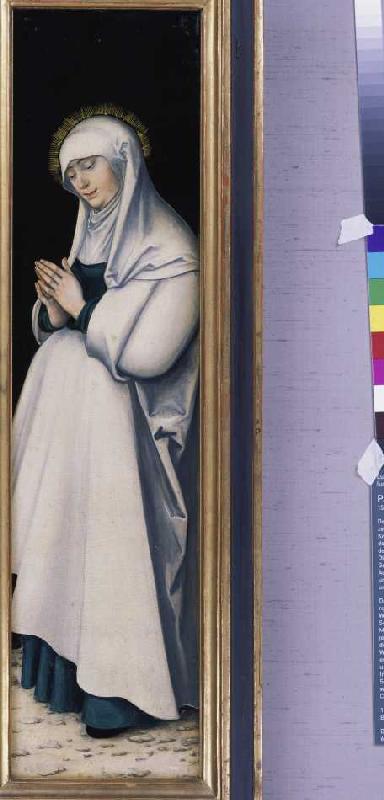 Kreuzigungstriptychon: Maria in Anbetung. von Lucas Cranach d. Ä.