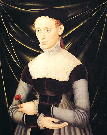 Woman with a Carnation von Lucas Cranach d. Ä.