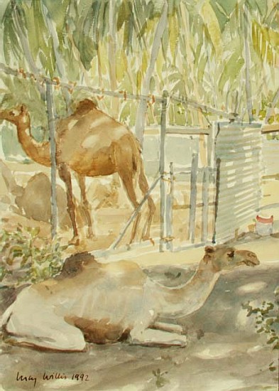 Camels at Rest, Salala (Oman) 1992 (w/c)  von Lucy Willis