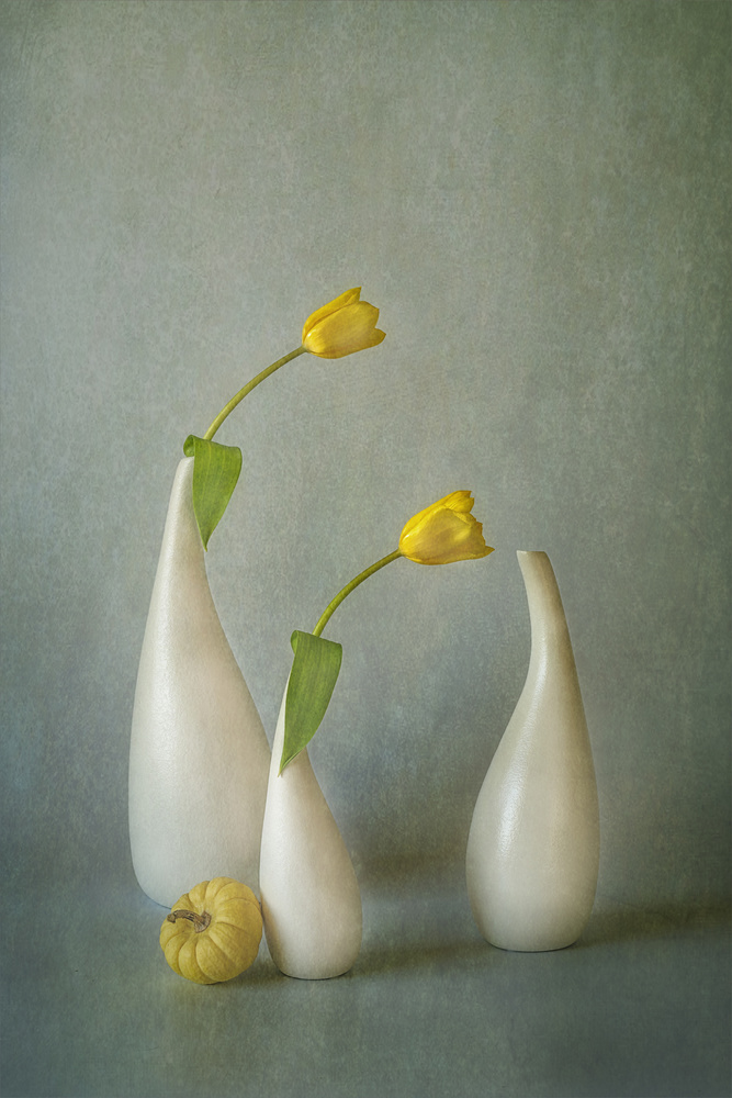 Gelbe Tulpe und Minikürbis von Lydia Jacobs