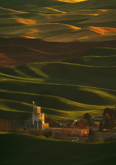 Palouse Rolling Hills