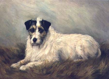 Terrier von Mabel Hastings