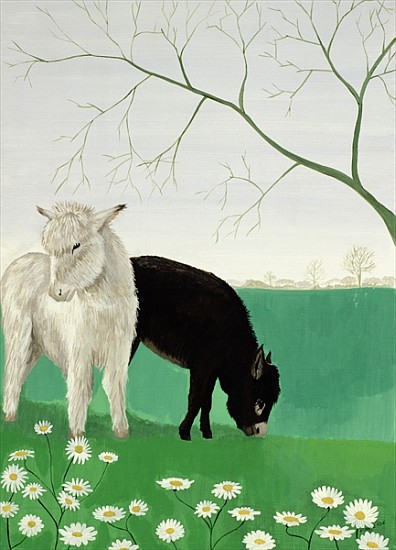 Donkeys and Daisies von  Maggie  Rowe