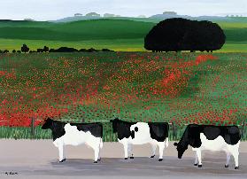 Cows and Poppies 