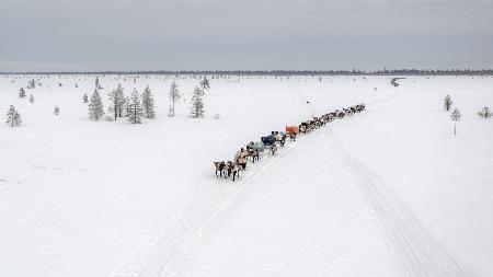 Kreuzung in der Tundra