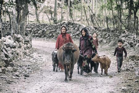 Tadschikische Frauen und Vieh auf dem Weg von der Weide