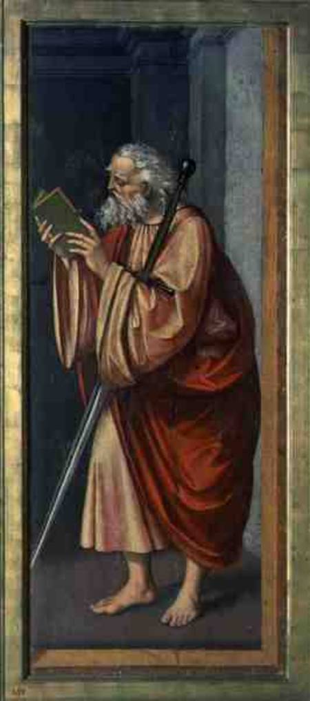 St. Paul Apostle von Marco D'Oggiono