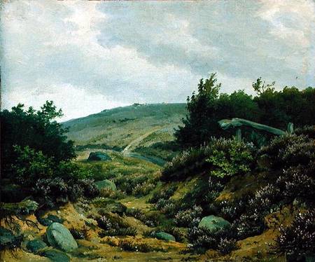 On the Moor von Marcus Johann Haeselich