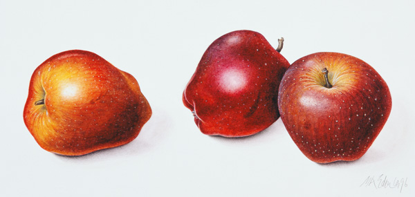 Red Apples, 1996 (w/c on paper)  von Margaret Ann  Eden