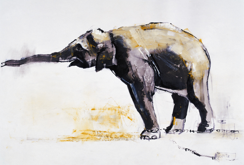 Indian Elephant, Khana von Mark  Adlington