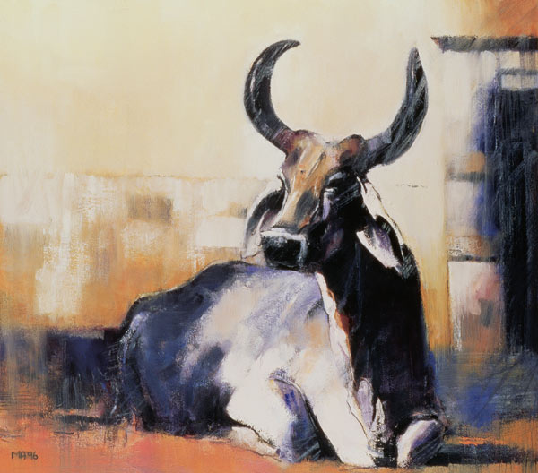 Sacred Cow, Bhuj von Mark  Adlington