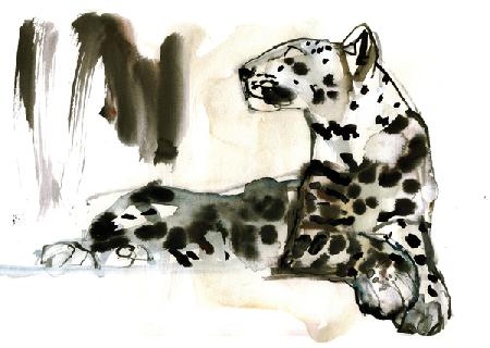 Arabian Leopard 2008