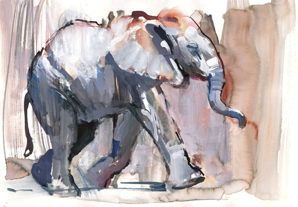 Baby elephant von Mark  Adlington