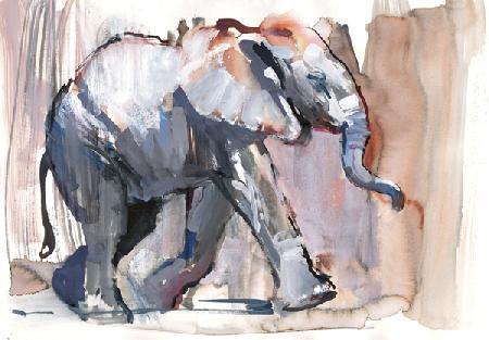 Baby elephant 2012