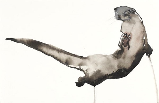 Back Awash (Otter) von Mark  Adlington