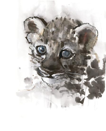 Blue Eyes (Arabian Leopard Cub) 2008