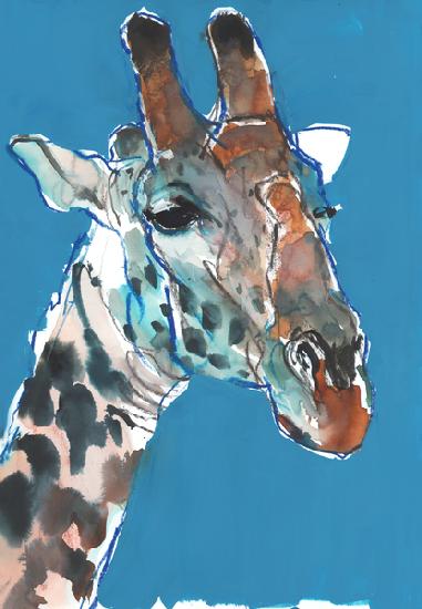 Bull Masai Giraffe 2018