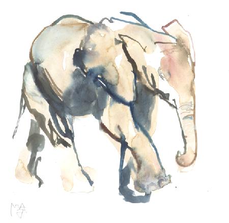 Elephant calf, Loisaba 2018