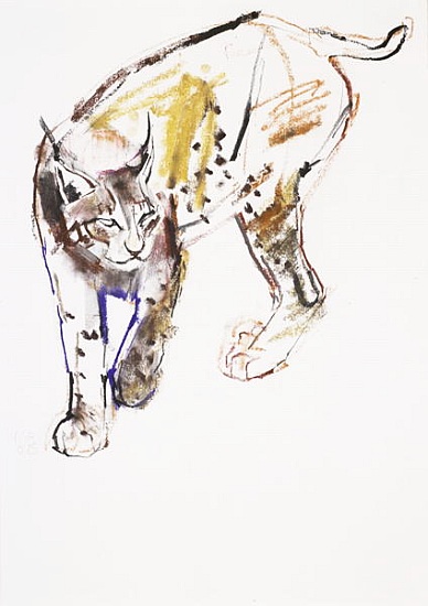 European Lynx von Mark  Adlington