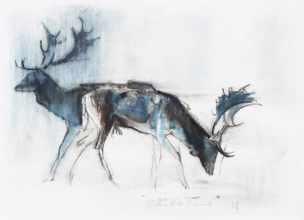 Fallow Bucks, Richmond von Mark  Adlington