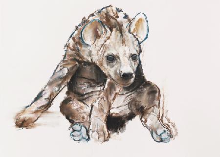 Hyaena Pup (head down) 2019