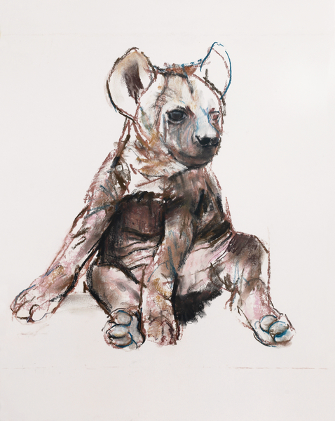 Hyaena Pup (sitting up) von Mark  Adlington
