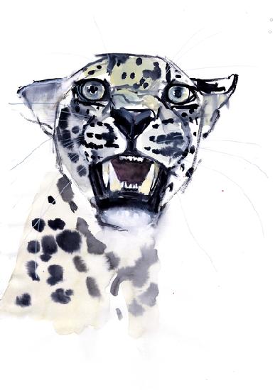 Incisor Snarl (Arabian Leopard) 2008