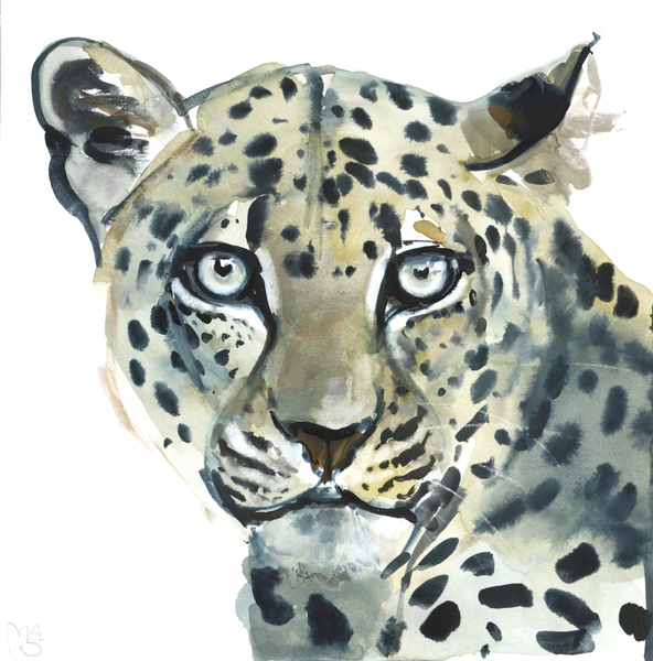 Leopard von Mark  Adlington