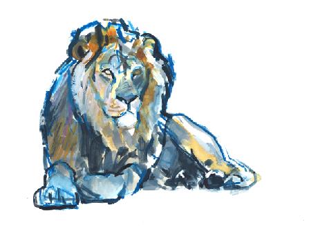 Lion 2017