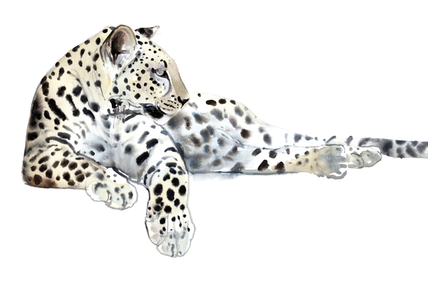 Long (Arabian Leopard) von Mark  Adlington