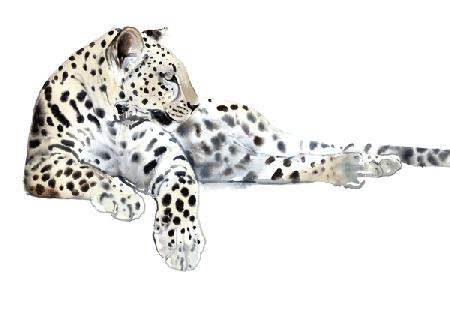 Long (Arabian Leopard) 2015