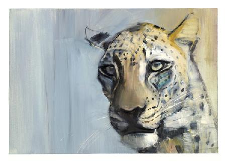 Predator (Arabian Leopard) 2009