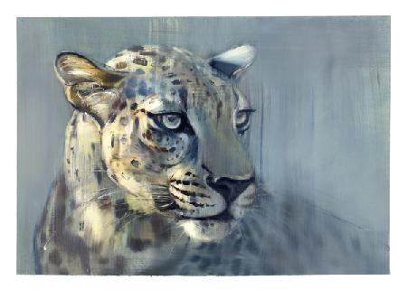 Predator II (Arabian Leopard) 2009
