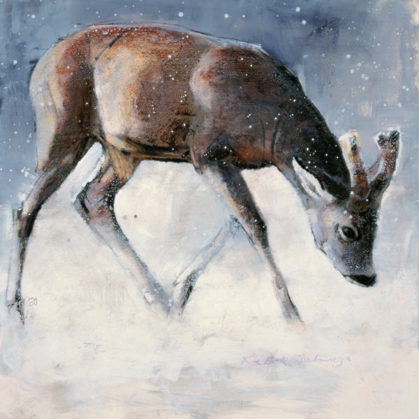 Roe Buck, Winter von Mark  Adlington