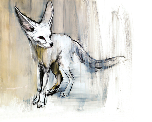 Sand Fox von Mark  Adlington