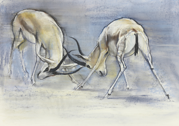 Sand Gazelles von Mark  Adlington