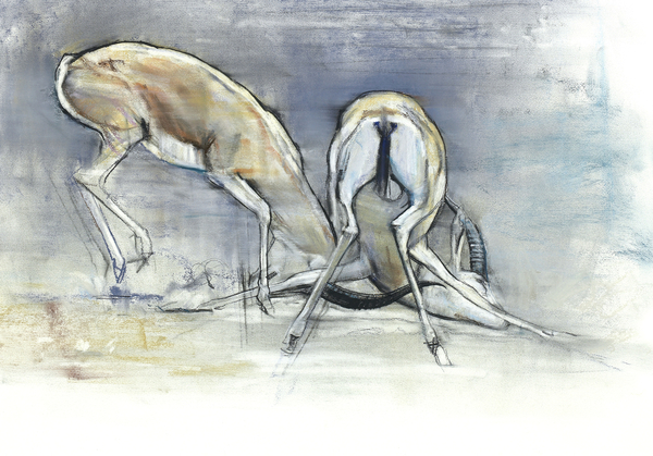 Sand Gazelles von Mark  Adlington