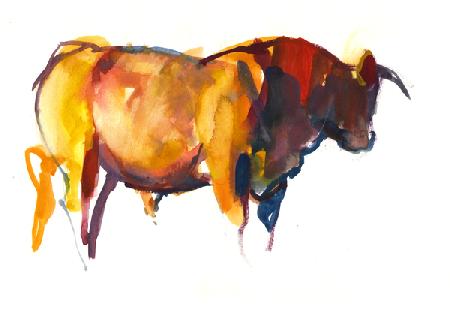 Sunset Bull 2010