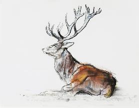 Seated Stag