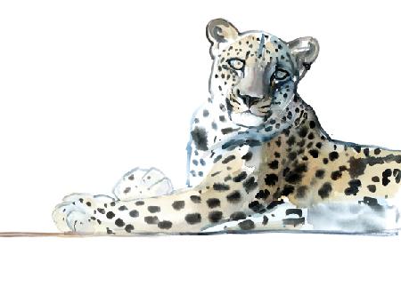 Tilt (Arabian Leopard) 2015