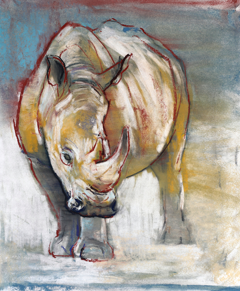 White Rhino, Ol Pejeta von Mark  Adlington