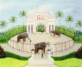 The Elephant House, 1984 