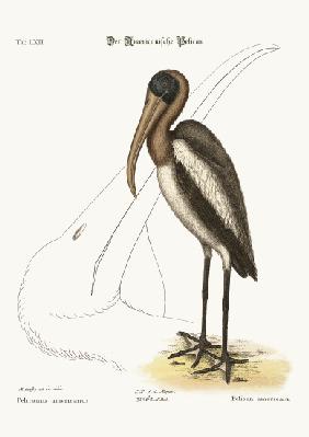The Wood Pelican 1749-73