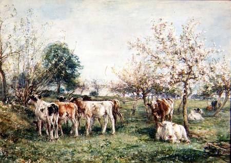 Calves in a Cherry Orchard von Mark Fisher