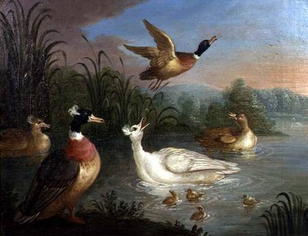Ducks on a River Landscape von Marmaduke Craddock