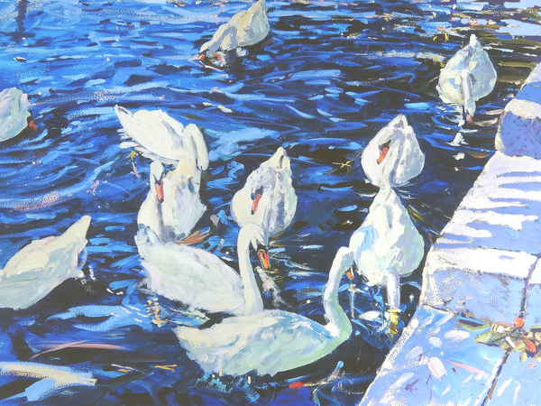 Swans von Martin  Decent