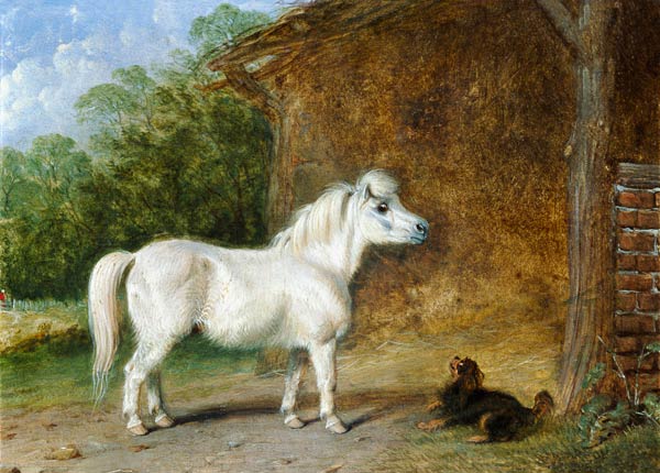 A Shetland pony and a King Charles spaniel (board) von Martin Theodore Ward